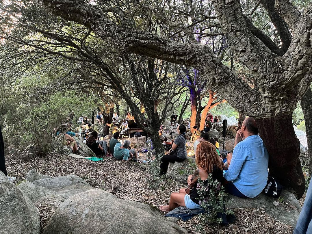 pubblico che assiste ad un concerto nel bosco di Curadureddu, seduto sotto degli alberi